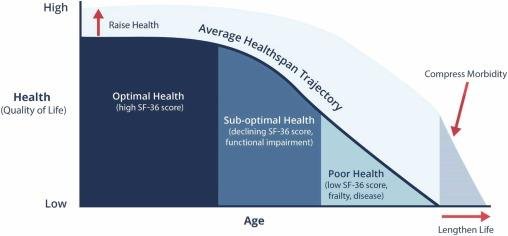 - Enhanced Quality of Life with the ‌PN Framework: Mind-Body Practices, ⁢Stress Reduction, and‍ Sleep Optimization